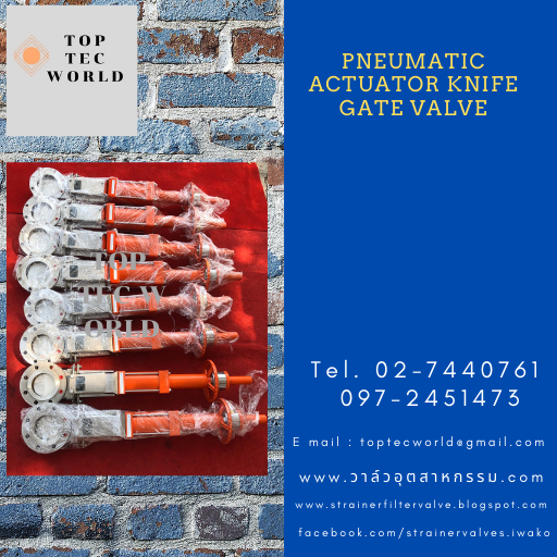 pneumatic actuator knife gate valve