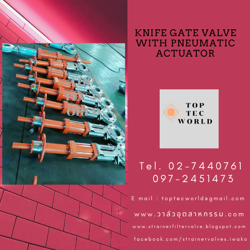 Knife Gate Valve with Pneumatic Actuator