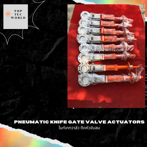 Pneumatic Knife Gate Valve Actuators ไนท์เกทวาล์ว ติดหัวขับลม