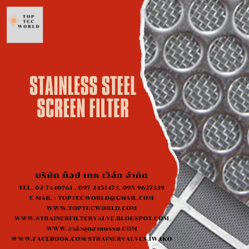Stainless Steel Screen Filter