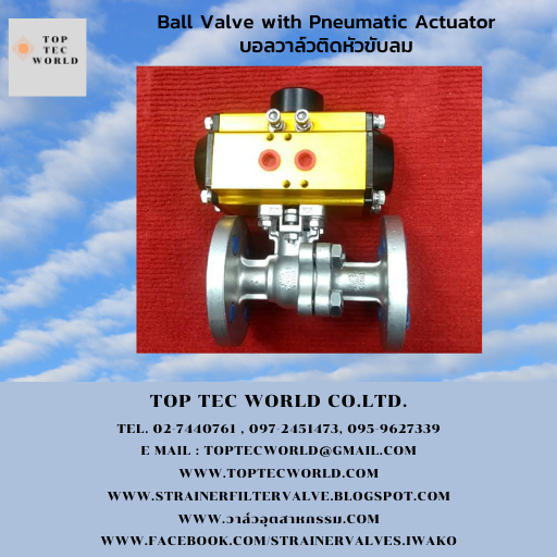 ball valve with pneumatic actuator_iwako